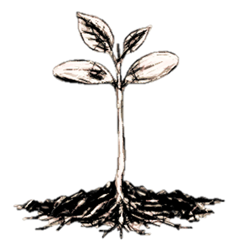 Richer Soil