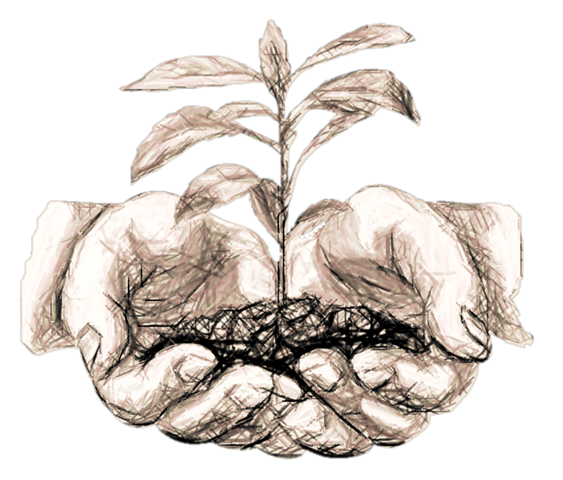 Cultivation