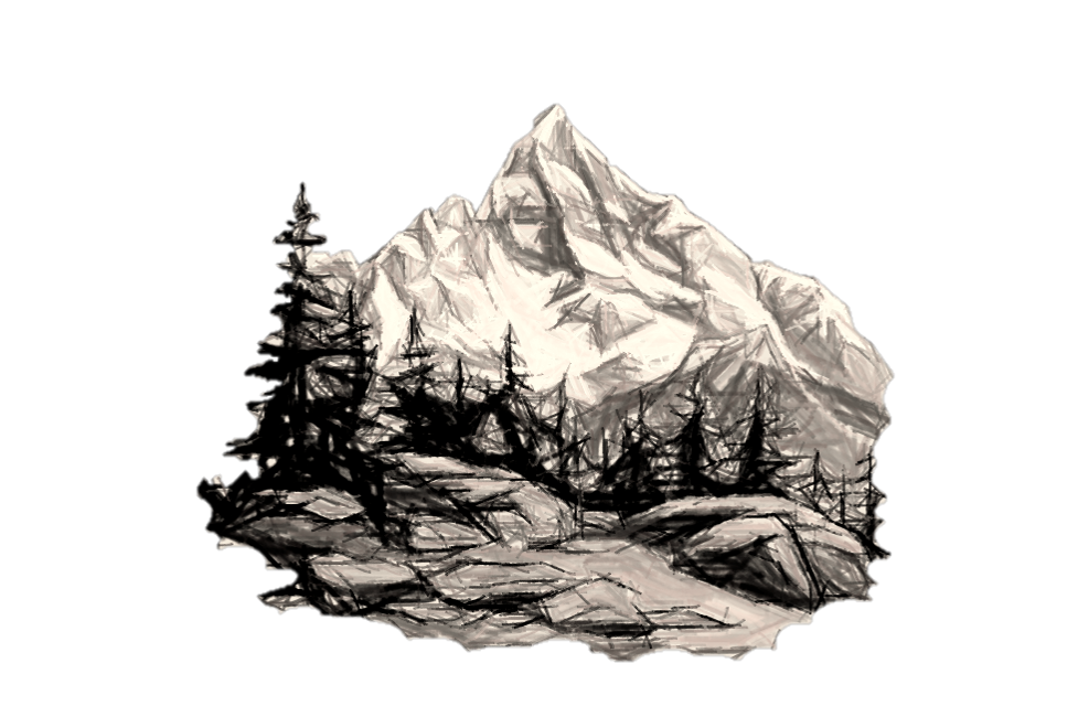 Into the Wild